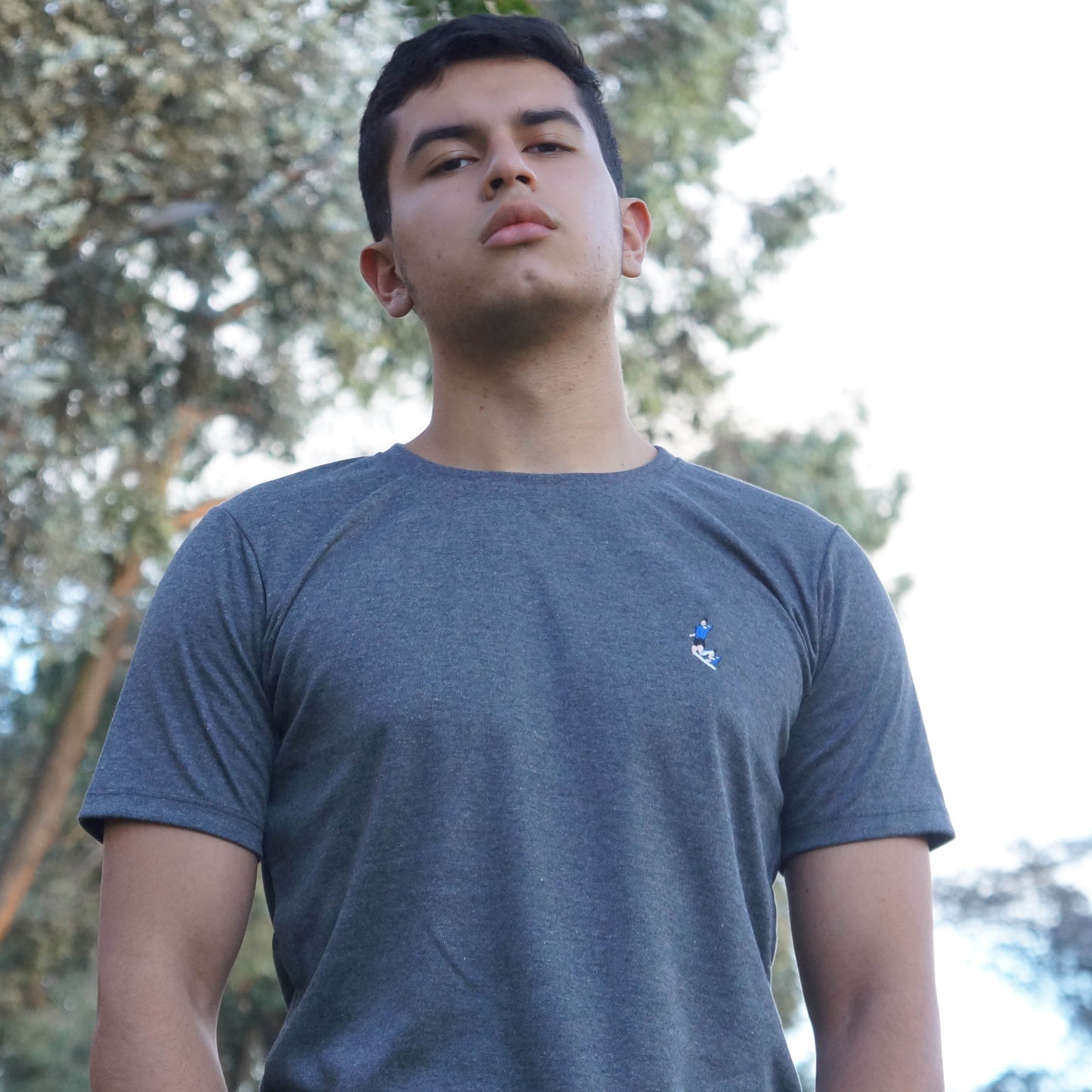 Camiseta Henry Rojas Gris